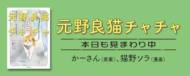 元野良猫チャチャ 本日も見まわり中