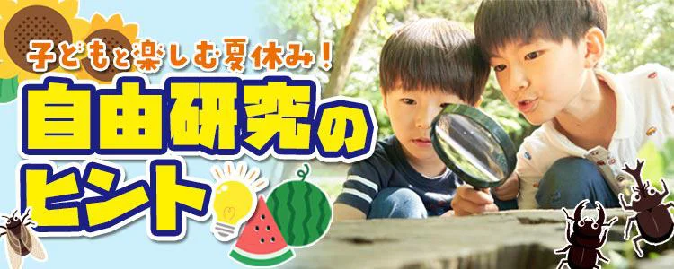 子どもと楽しむ夏休み！自由研究のヒント