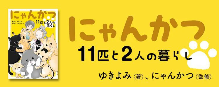 にゃんかつ 11匹と2人の暮らし