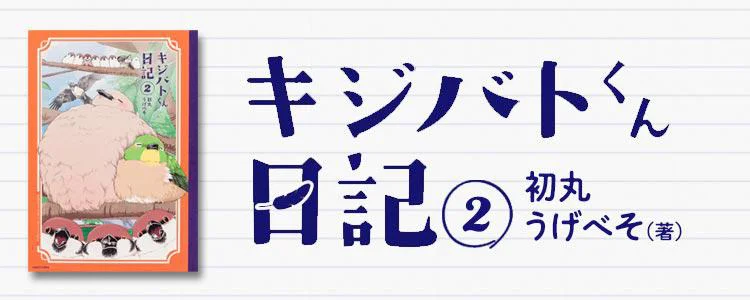 キジバトくん日記（2）