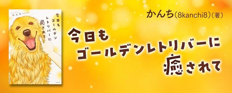 今日もゴールデンレトリバーに癒されて