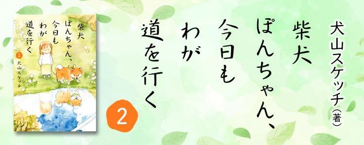 柴犬ぽんちゃん、今日もわが道を行く2