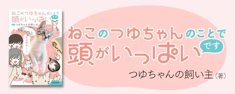 ねこのつゆちゃんのことで頭がいっぱいです