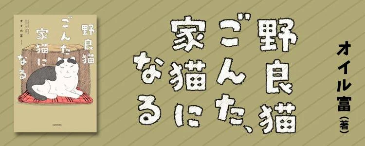 野良猫ごんた、家猫になる