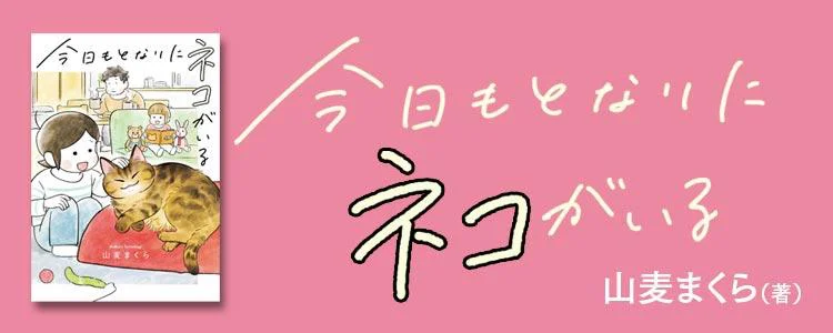 今日もとなりにネコがいる