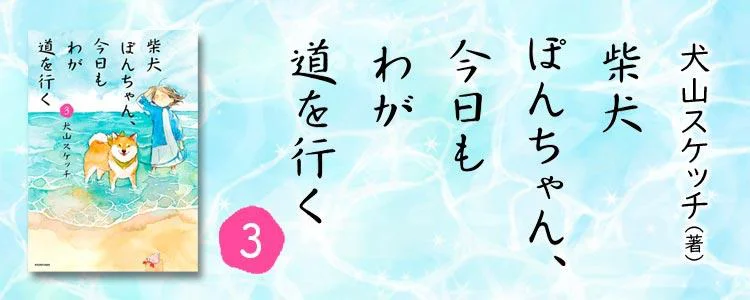 柴犬ぽんちゃん、今日もわが道を行く3