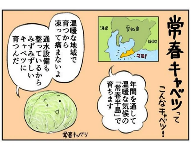 JA愛知みなみ　内田孝司様、鈴木智様インタビューその5