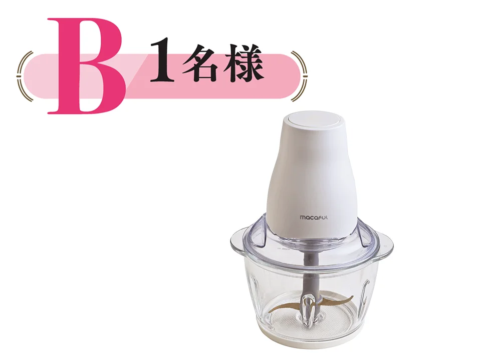 プレゼントB：1名様