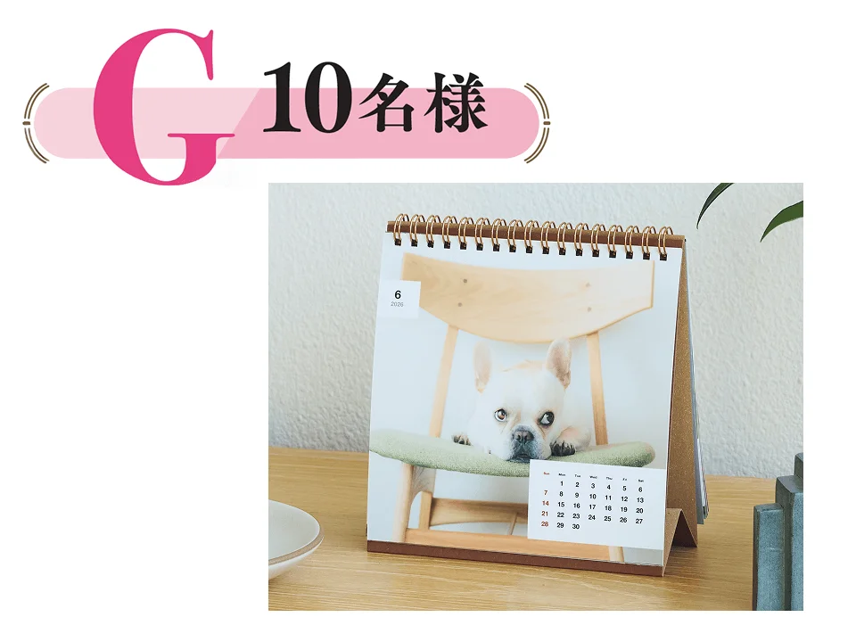 プレゼントG：10名様