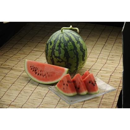 「鳥取すいか」(3Lサイズ/約8kg)