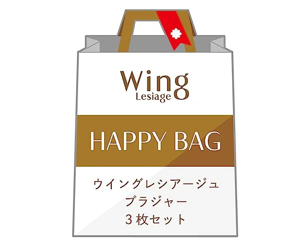 [Wing/Wacoal] ブラジャー 【福袋】Wing Lesiage 3枚セット PB9865 レディース マルチカラー D75