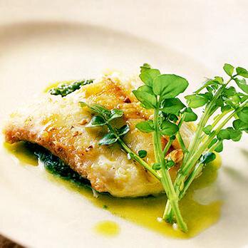 白身魚のグリーンソース添え By飯塚宏子さんの料理レシピ プロのレシピならレタスクラブ