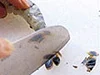 尾の先の水分を出すと、油がはねない