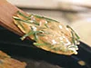 こんがり色づいたら…ひっくり返す！