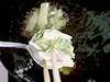 箸ですべらせるようにしてそっと入れて