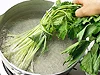束ねた根三つ葉を根元から入れる