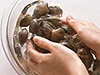 殻と殻をこすり合わせるようにして汚れをとりましょう