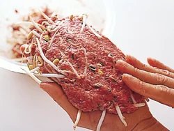 わらじメンチカツの名のとおり、大きく作って揚げたほうが断然おいしい。肉に火が通りやすいように２cm厚さくらいに成形する。