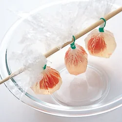 茶きんにしてゴムで留めたら箸に通し、箸を渡してつり下げると、丸い形に固めることができる。