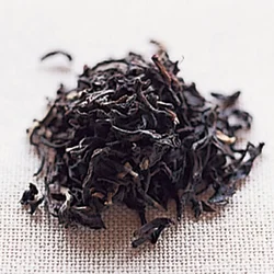 アッサムの茶葉は大きく、香り高いのが特長。