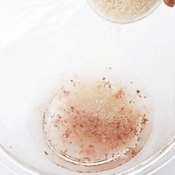桜の花の桜もち Byトミタセツ子さんの料理レシピ プロのレシピならレタスクラブ