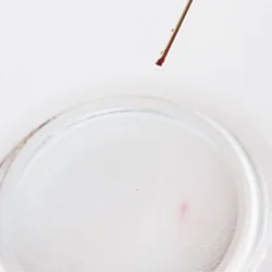 食用色素は竹串の背で、ほんの少量すくい取って湯に溶く。