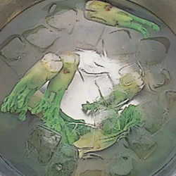 たらの芽は塩ゆでしたあと氷水にとって急速に冷やすと、変色しにくく、歯ごたえもしゃきっとする。