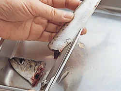 キッチンばさみで頭を落とし、腹を開くとラク。中骨は、身がくずれないようにゆっくりとはがす。