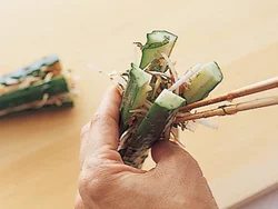 混ぜた香味野菜を、きゅうりの中に押し込むようにして詰める。