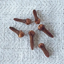 クローブは、花のつぼみを乾燥させた、独特の形をしたスパイス。