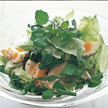 クレソンとゆで卵のサラダ By中村成子さんの料理レシピ プロのレシピならレタスクラブ