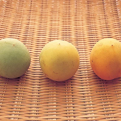「梅干し」：1個分4kcal、梅干し塩分1個分1.4g
「梅酢」：大さじ1分3kcal、梅酢塩分大さじ1分1.8g
大粒の南高梅を使うと、ふっくらとやわらかく、おいしい梅干しになります。南高梅は黄色く熟して(黄熟して)から使うのがおいしい梅干し作りへの第一歩。青い梅から梅干しにするには水につけてアク抜きをする必要がありますが、程よく黄色に熟した、梅干し作りにちょうどよい梅を使うとアク抜きの必要がありません(写真のいちばん右が黄熟したもの)。青い梅を買ってきたならば、そのまま2〜3日おいて、全体が黄色くなるのを待ってから作り始めましょう。
常温で保存できる。瓶は、梅が乾燥しないように口がしっかり閉まるもの、中の状態がわかる透明のものがおすすめ。いつ漬けた梅かわかるように、ラベルを貼っても。梅酢は酢と同じように使える。