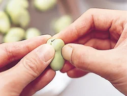 そら豆はさやから出して薄皮をむく。薄皮に爪を立てて少し破ると、むきやすい。