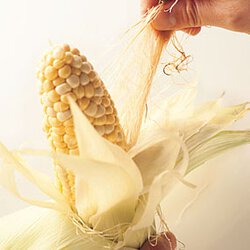 とうもろこしの揚げだんご By伊藤朗子さんの料理レシピ プロのレシピならレタスクラブ