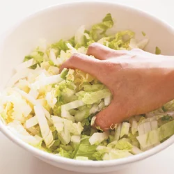 ボウルに入れて全体に塩がまわるまで、軽くもみ込む。