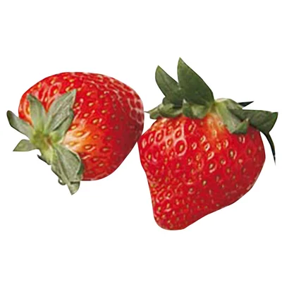 ＋いちご、バナナで
いちごのビタミンＣ、バナナの食物繊維やオリゴ糖で免疫力がアップ。ヨーグルトの乳酸菌は高温の加熱で死滅しますが、腸内の善玉菌の餌として役立ちます。