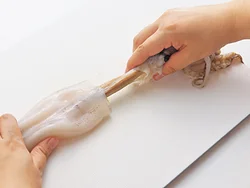 いかは胴を片方の手で押さえながら指を入れ、わたをそっと引き抜いて取り出す。胴に残った軟骨も取り除く。