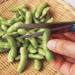 枝豆はキッチンばさみで両端を切ると、塩もみしたときに塩味が入りやすくなる。