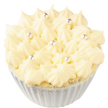 チーズケーキのレシピ プロのレシピならレタスクラブ