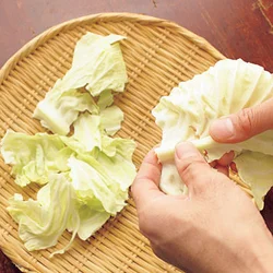 春キャベツはやわらかいので、包丁を使わずに手でちぎる。軸も葉と分けずにちぎって。