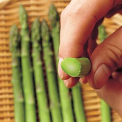 アスパラと半熟卵のサラダ By明峯牧夫さんの料理レシピ プロのレシピならレタスクラブ