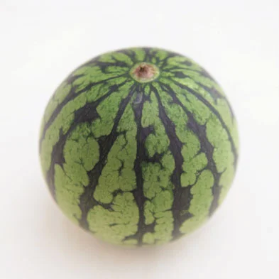 すいかは、果汁たっぷり、夏を代表する果物。むくみ予防にも。
果汁の量に合わせてはちみつの量を調整して。使うのは小玉すいかでなくてもOK。その場合は皮を使わず、器に盛って。
※はちみつが入っているので、1歳未満のお子さんには食べさせないでください。