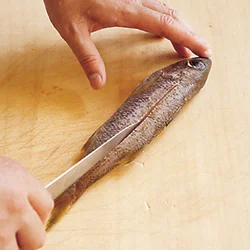 白身魚は淡泊なので、しっかりと塩味をつけたい。魚の両面に、縦に1本切り目を入れると、塩味が入りやすくなる。