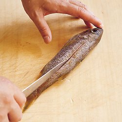 マース煮 Byオカズデザインさんの料理レシピ プロのレシピならレタスクラブ マース煮 Byオカズデザインさんの料理レシピ プロのレシピならレタスクラブ