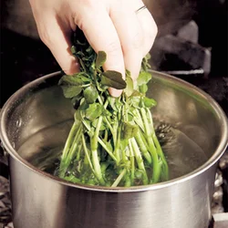 クレソンをゆでる場合は、最初にかたい茎の部分を入れ、少したってから葉の部分まで入れてゆでると均一に火が通る。