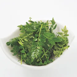 木の芽とは、さんしょうの若芽のこと。木の芽みそあえのほか、和食では春の料理のあしらいに使うことが多い。使う直前に手でたたいてから調理すると、香りよく仕上がる。