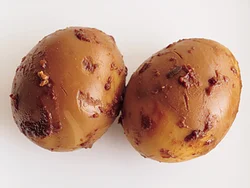 ゆで卵は殻をむいてみそ床に漬けるだけで、黄身まで味が入り、味つきの卵になる。