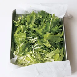 水菜は冷水で洗い、ペーパータオルを敷いたバットに広げて冷蔵室に入れ、シャキッとさせる。
