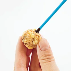 スティックにチョコレートをつけてから生地に刺すと、生地がしっかりつき、チョコレートでコーティングするときに抜けにくくなる。