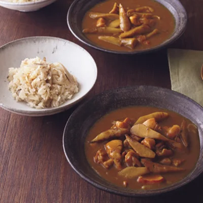 和風Ｗごぼうカレー
